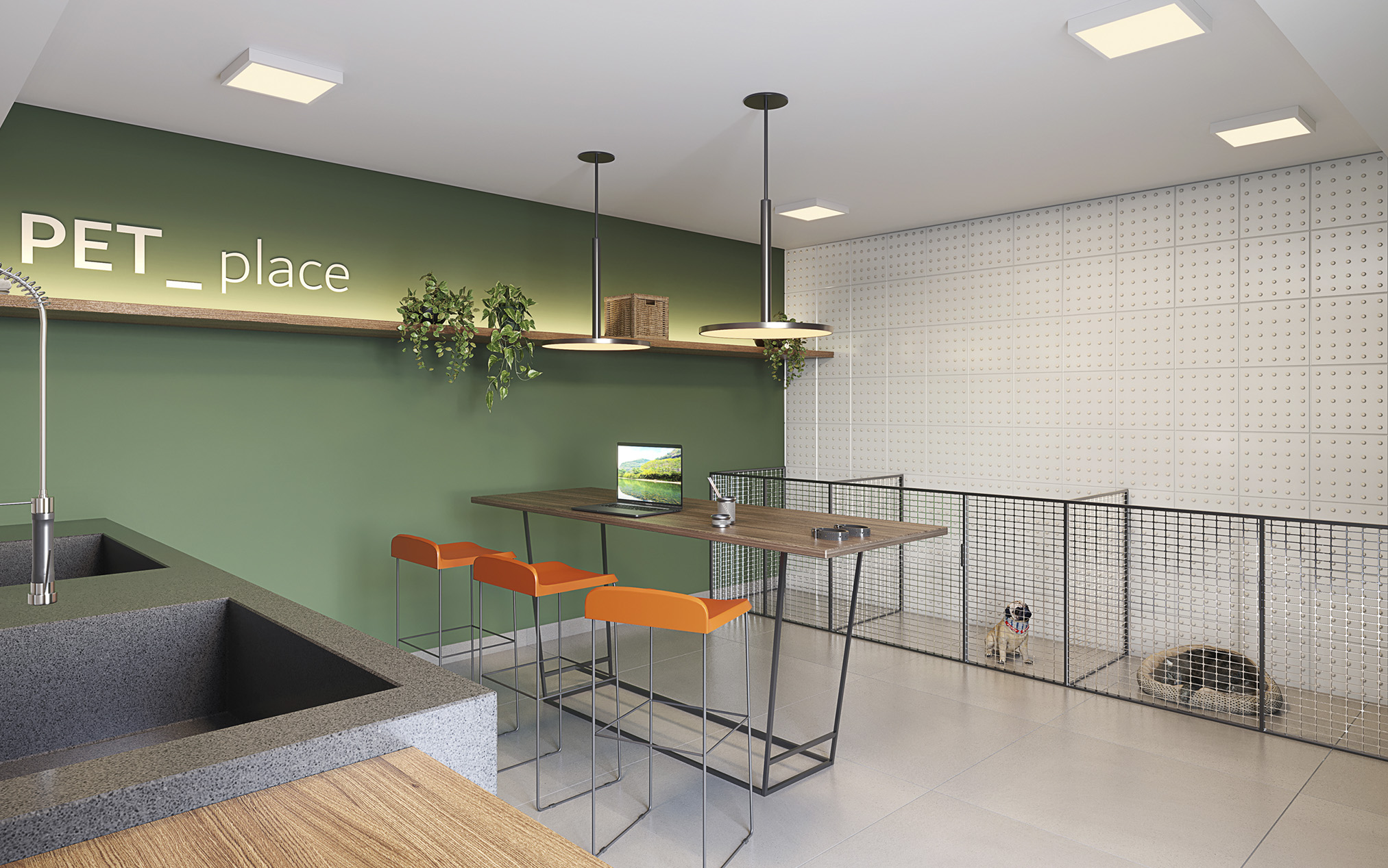 Pet care - Imagem preliminar