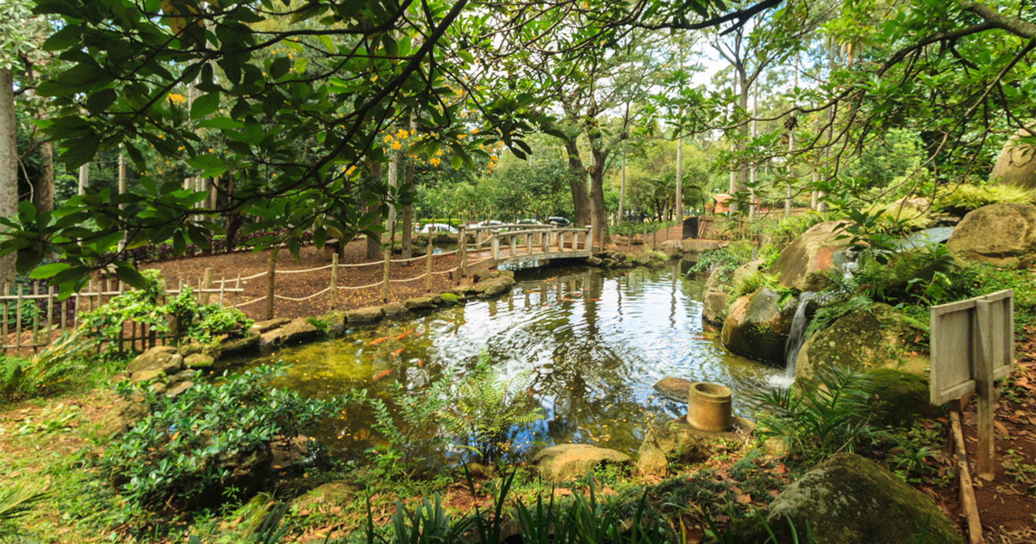 Parque Ecológico Prof. Lydia Natalizio Diogo